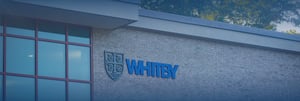 Wtb-about-whitby-mission-and-vision-hero