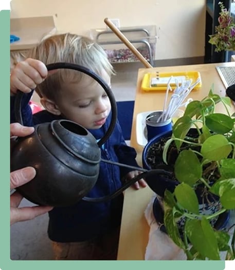 wtb-montessori-childrens-house-highlights-science wtb-montessori-childrens-house-highlights-science