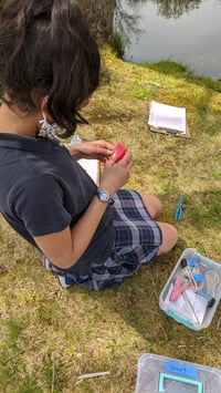 Grade 5 Science