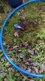 IMG_20210428_142038 (1)