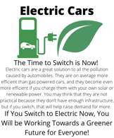 Participatory Action: Electric Car