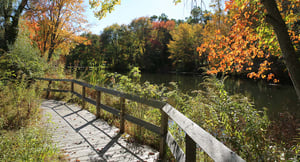 Pond on Whitby's campus