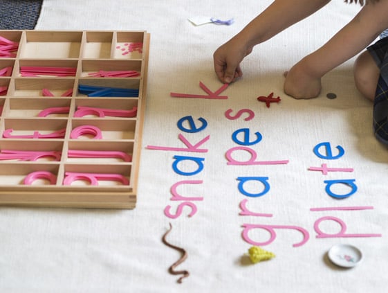 inline-primary-curriculum-language.jpg